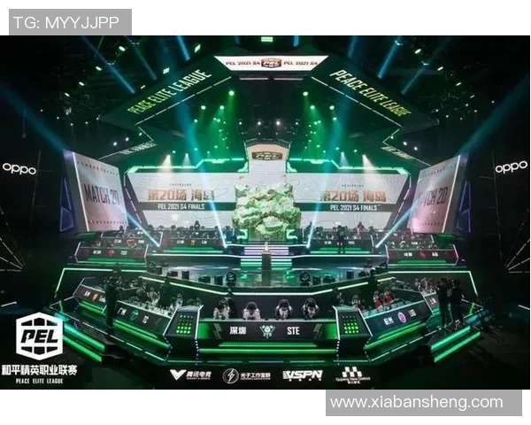 PEL赛事场地调整对比赛公平性和观众体验的影响分析